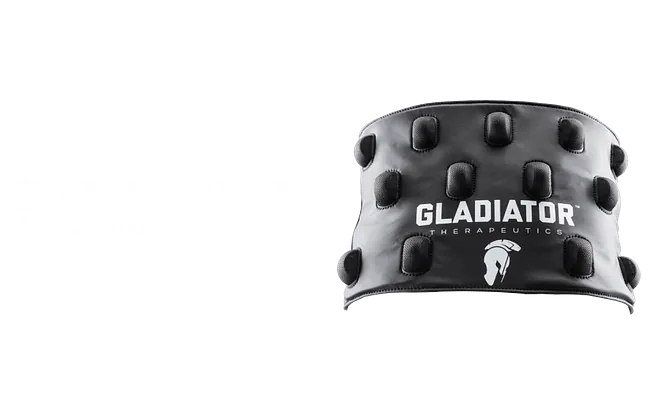 Gladiator MD Abdomen / Back